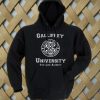 Gallifrey University Hoodie
