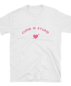 V-Day Cupid is Stupid Valentine's Day t shirt NA